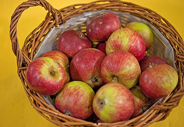 Trierischer Weinapfel